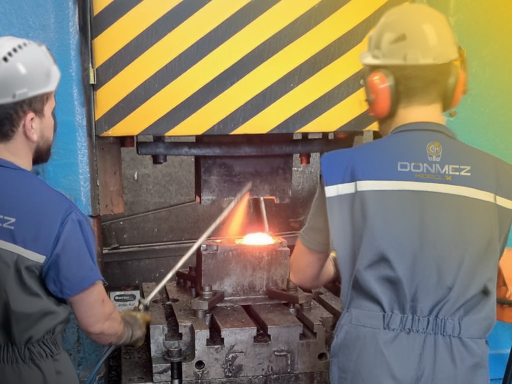 Dana Gözü Mafsal Nedir?